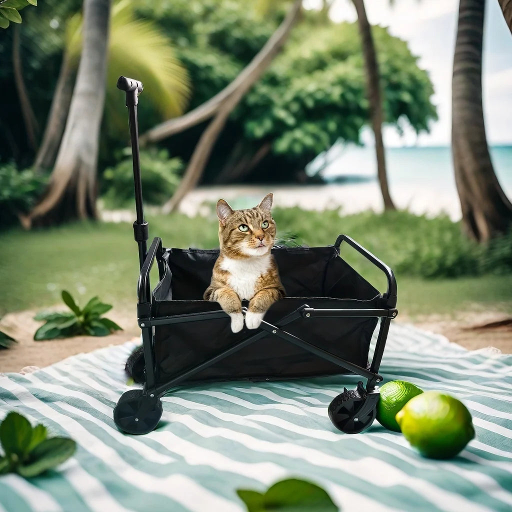 Foldable Folding Car Stroller, Dog Stroller Heavy Duty Utility Garden Cart with All-Terrain Wheels for Beach, Lawn, Sports, Camp